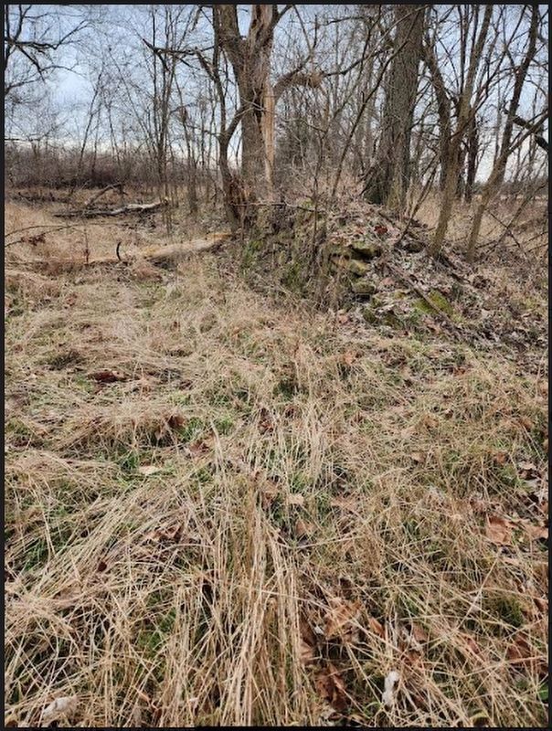 Boonville Road Bridge abutment at the North Dry Sac image. Click for full size.