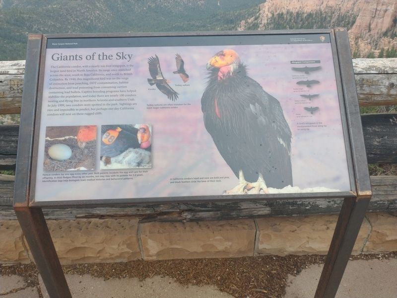 Giants of the Sky Marker. Click for full size. Giants of the Sky Marker image. Click for full size.