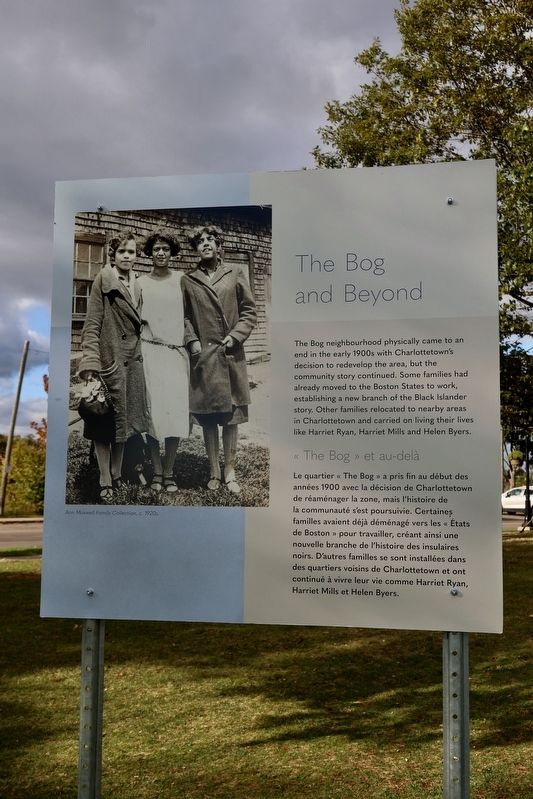 The Bog and Beyond Marker image. Click for full size.