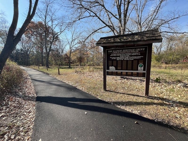 The Illinois Heritage Grove image. Click for full size.