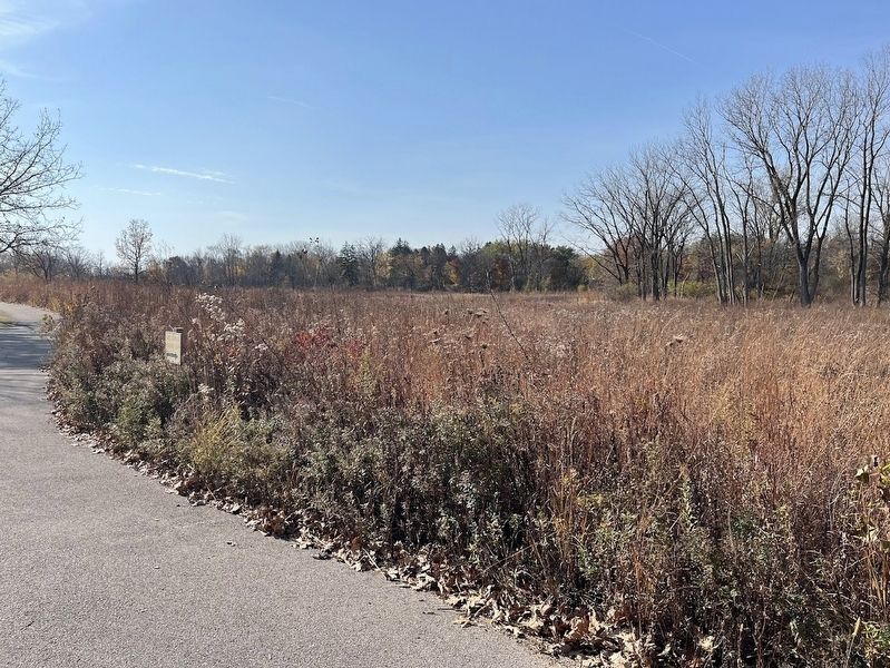 Spring Valley prairie. Click for full size. Spring Valley prairie image. Click for full size.
