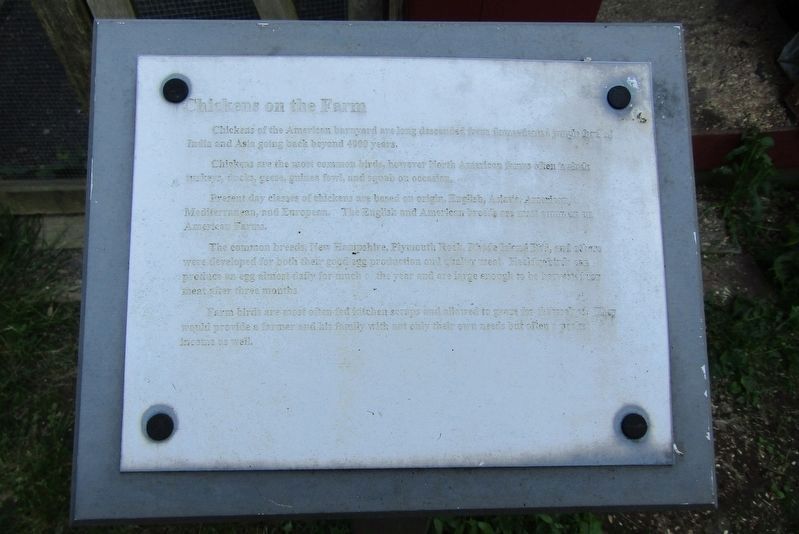 Chickens on the Farm Marker. Click for full size. Chickens on the Farm Marker image. Click for full size.
