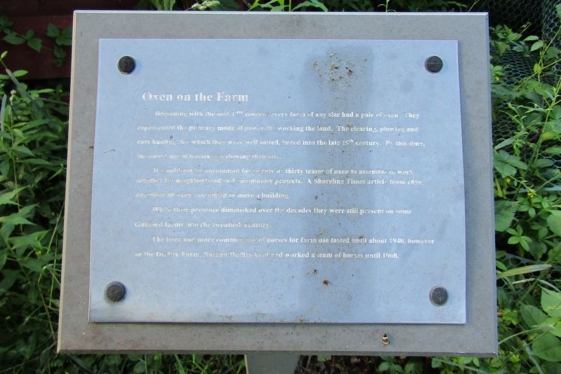 Oxen on the Farm Marker. Click for full size. Oxen on the Farm Marker image. Click for full size.