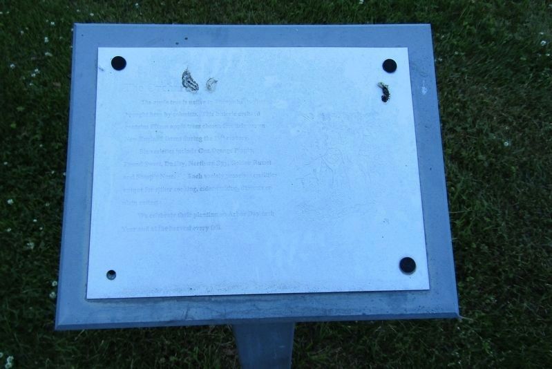The Orchard Marker image. Click for full size.