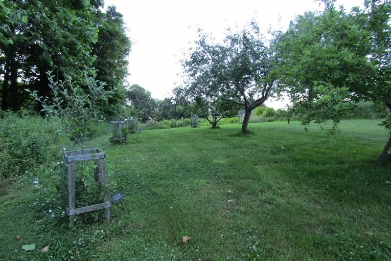 The Orchard image. Click for full size.