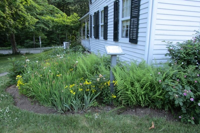 The Flower Gardens Marker. Click for full size. The Flower Gardens Marker image. Click for full size.