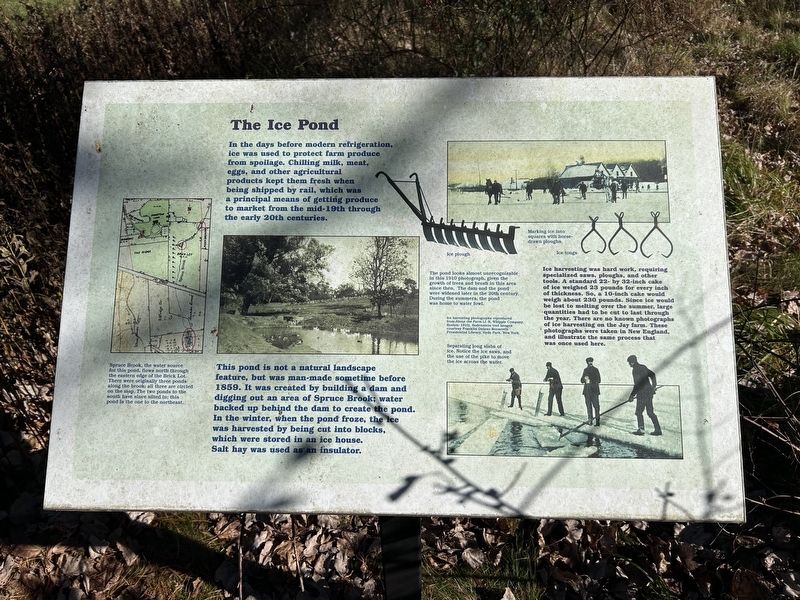 The Ice Pond Marker image. Click for full size.