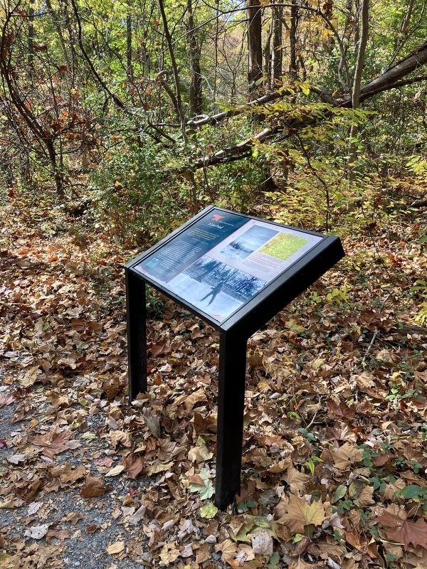 A Lost Pond Marker image. Click for full size.