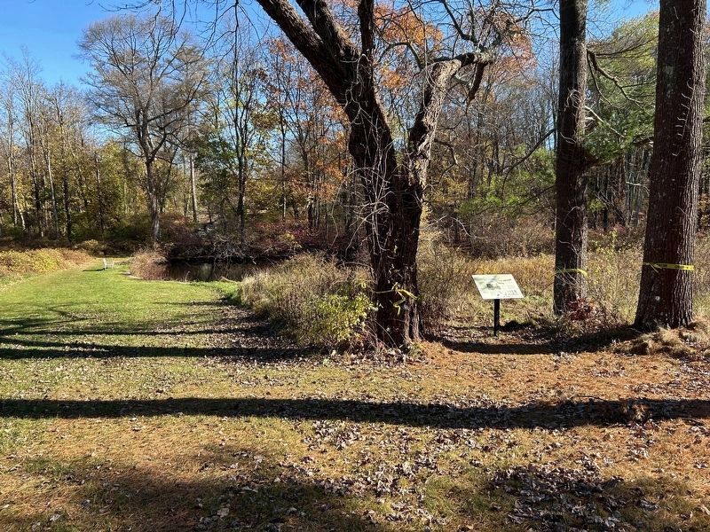 The Ice Pond and Marker image. Click for full size.