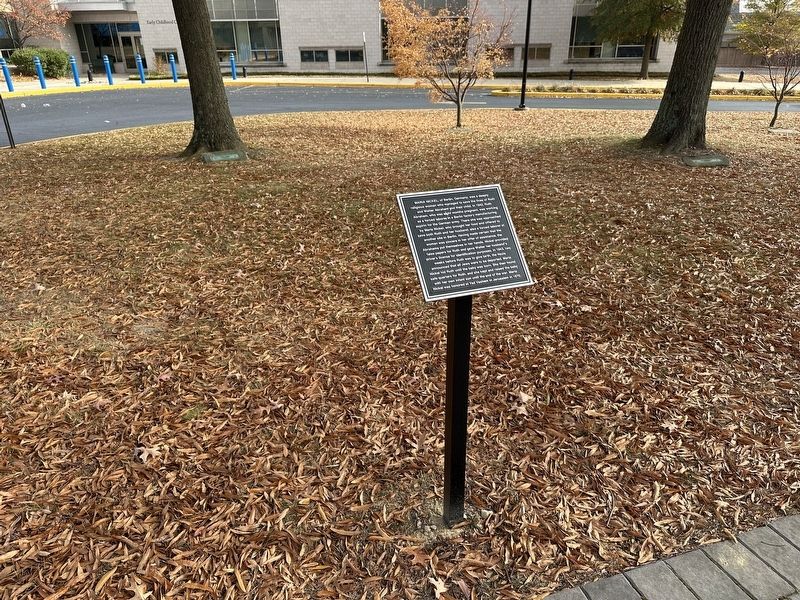 Maria Nickel Marker - wide view image. Click for full size.
