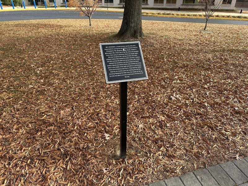 Mr. Krivienko Marker - wide view image. Click for full size.