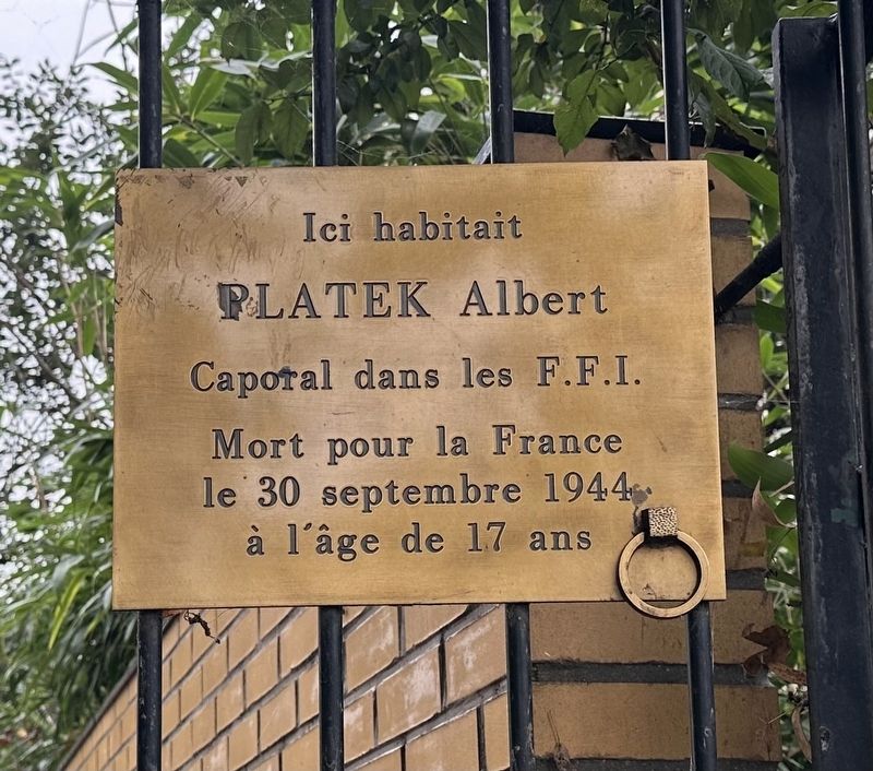 Albert Platek Marker image. Click for full size.