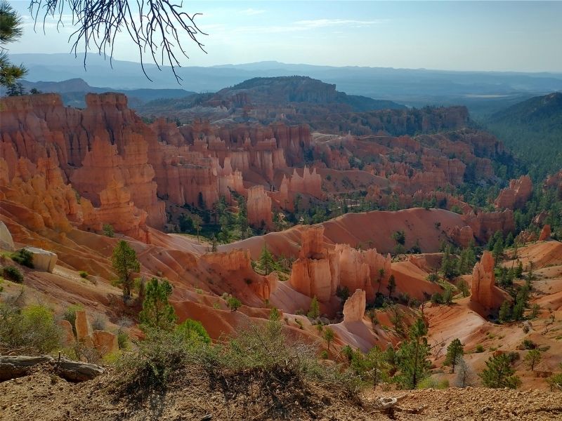 Bryce Canyon National Park. Click for full size. Bryce Canyon National Park image. Click for full size.