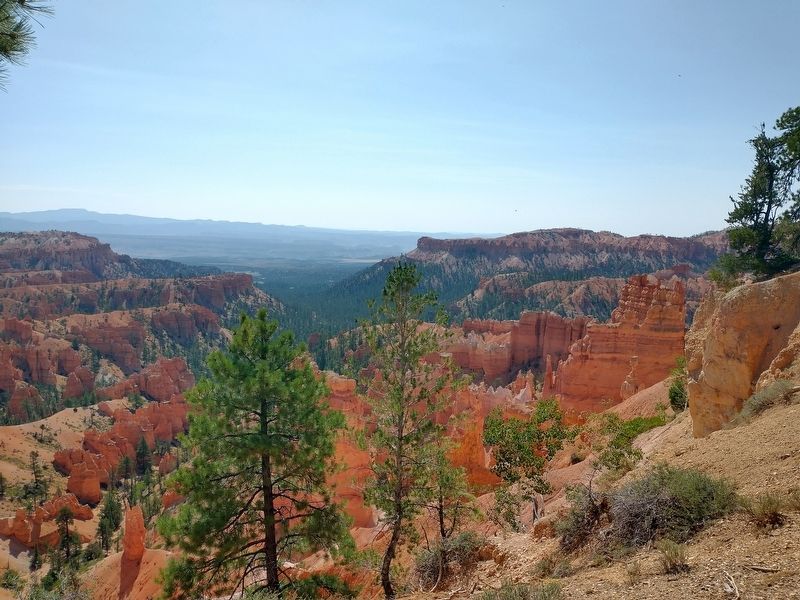 Bryce Canyon National Park image. Click for full size.
