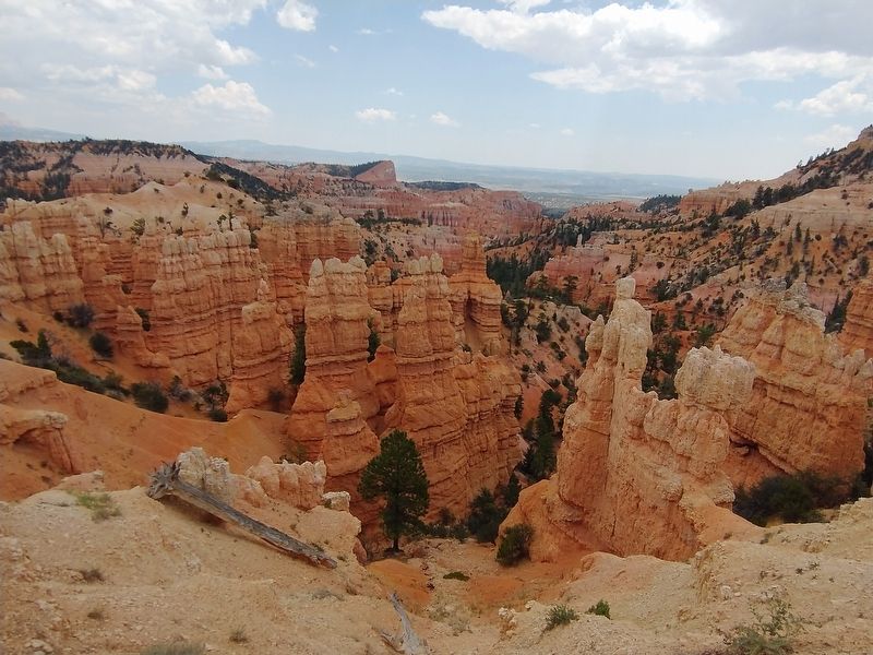 Bryce Canyon National Park image. Click for full size.