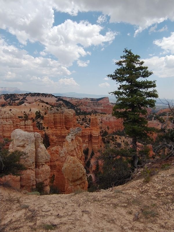 Bryce Canyon National Park image. Click for full size.