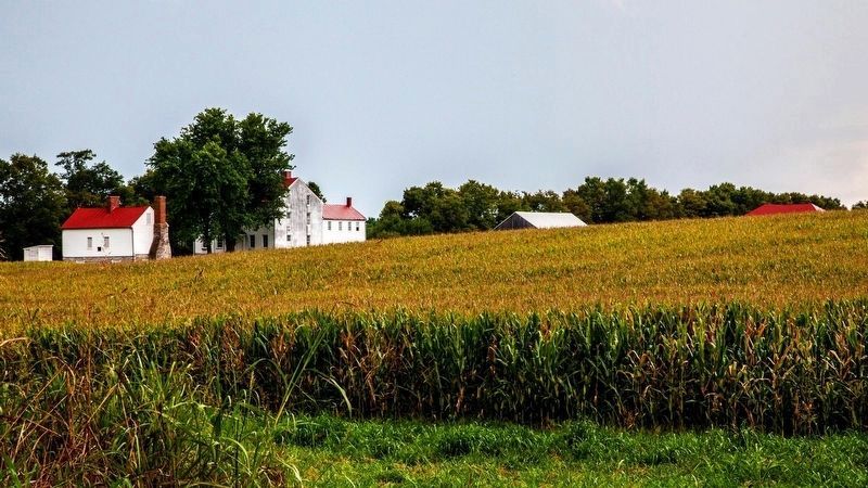 Best farm. Click for more information. Best farm image. Click for more information.