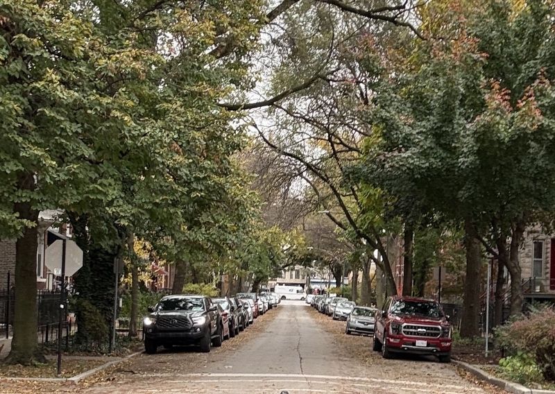 Winchester Avenue. Click for full size. Winchester Avenue image. Click for full size.