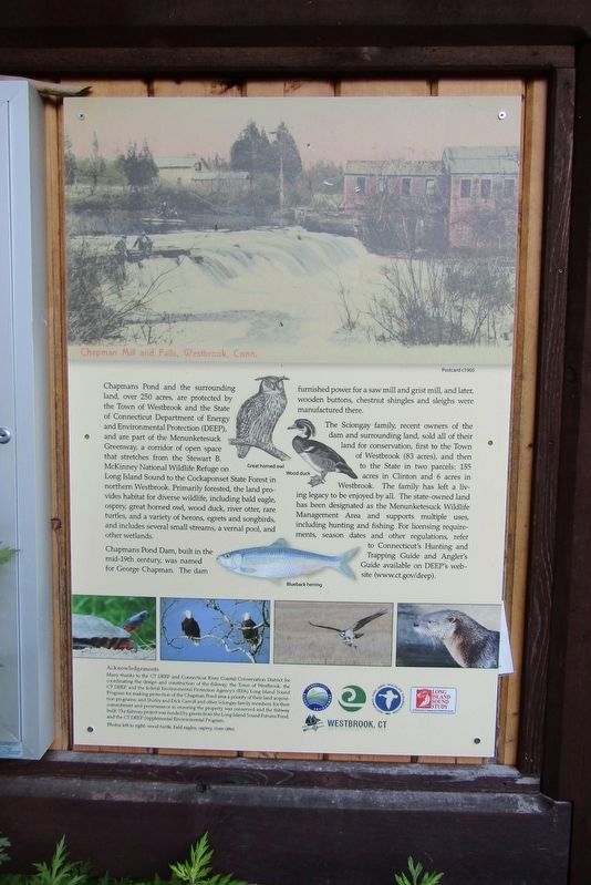 Chapmans Pond Marker. Click for full size. Chapmans Pond Marker image. Click for full size.