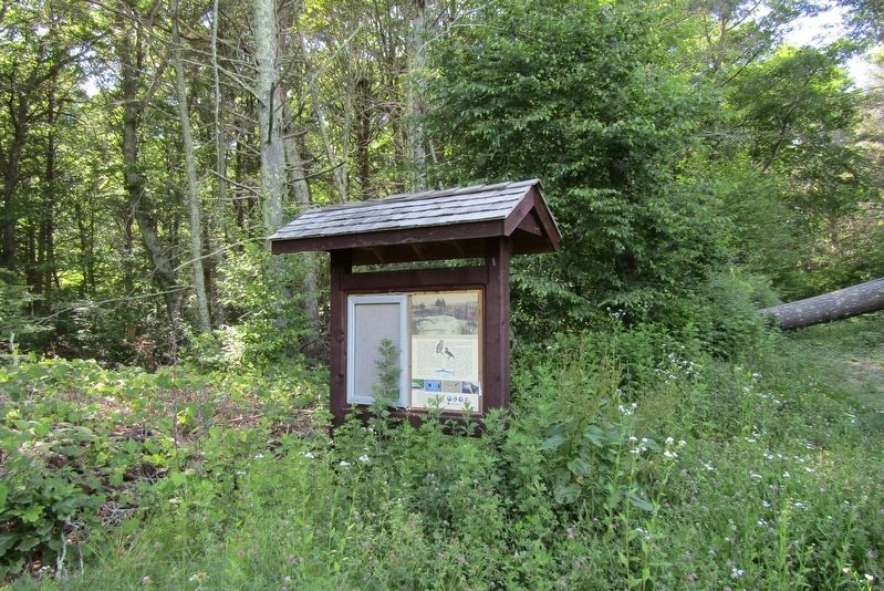 Chapmans Pond Marker. Click for full size. Chapmans Pond Marker image. Click for full size.