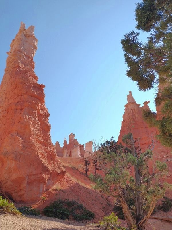 Bryce Canyon National Park. Click for full size. Bryce Canyon National Park image. Click for full size.