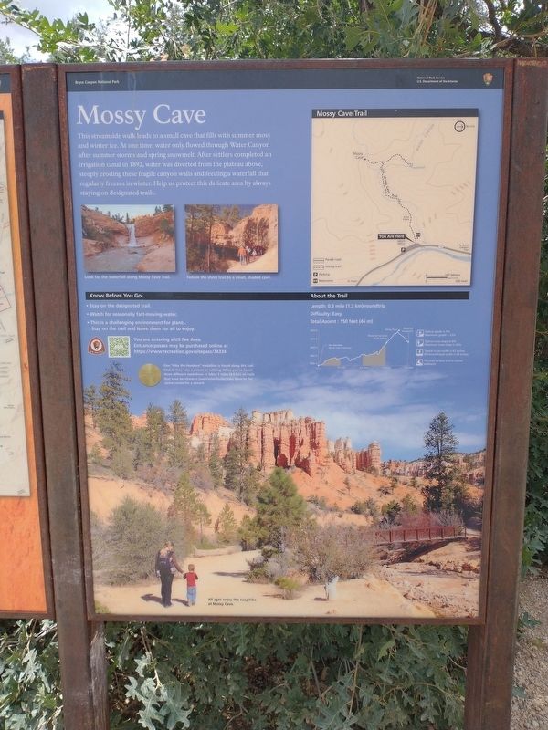 Mossy Cave Marker. Click for full size. Mossy Cave Marker image. Click for full size.