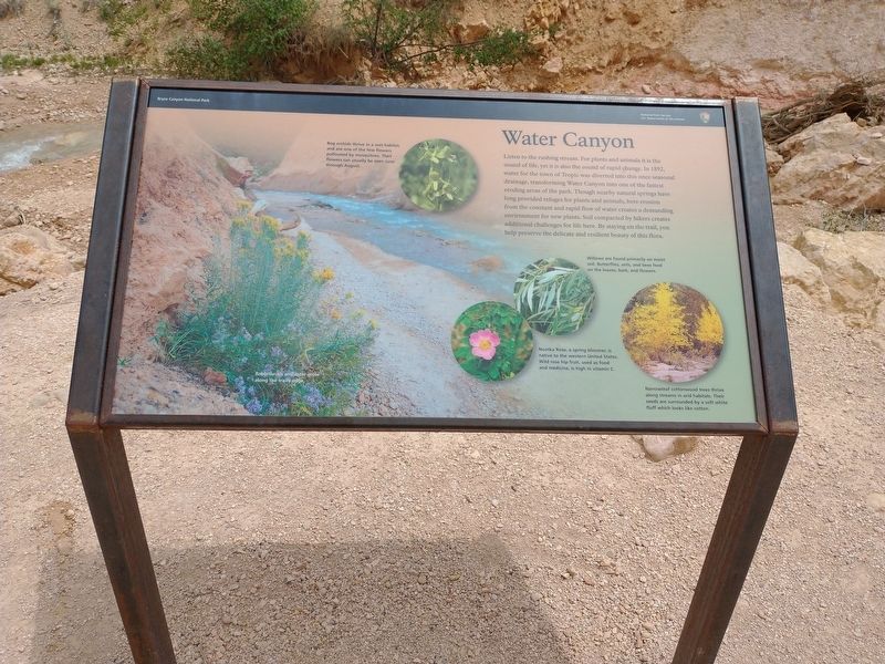 Water Canyon Marker. Click for full size. Water Canyon Marker image. Click for full size.