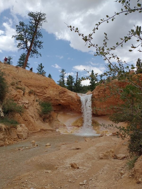 Mossy Cave Trail - Tropic Ditch Falls. Click for full size. Mossy Cave Trail - Tropic Ditch Falls image. Click for full size.