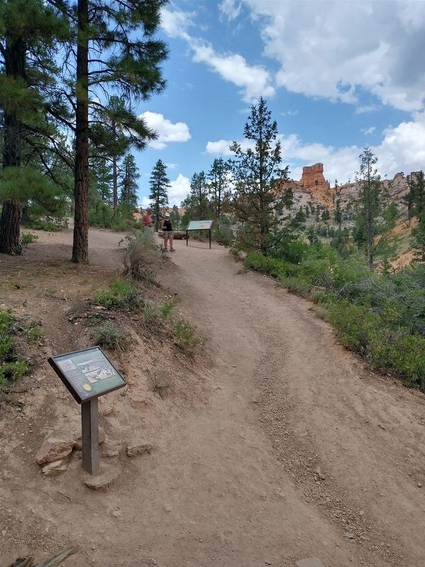 Hike the Hoodoos Marker image. Click for full size.