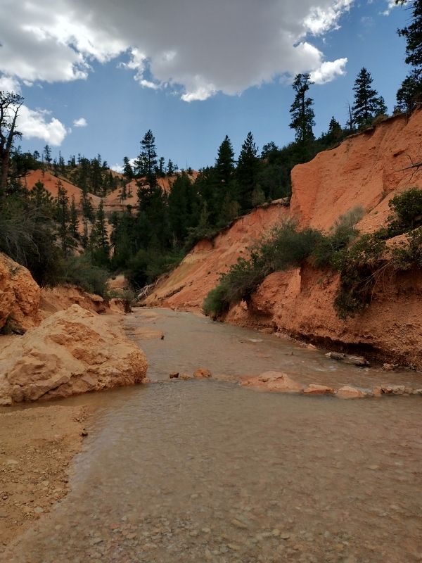 Tropic Ditch image. Click for full size.
