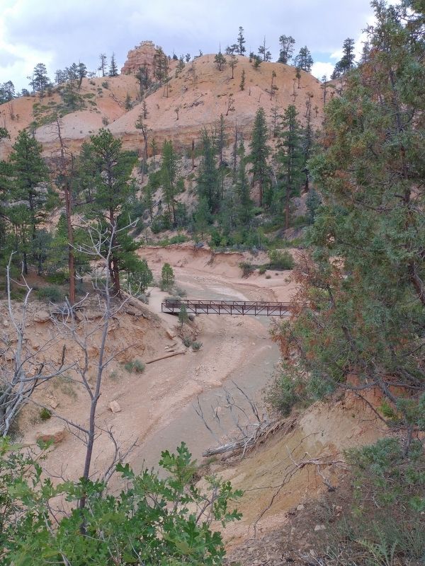 Tropic Ditch image. Click for full size.