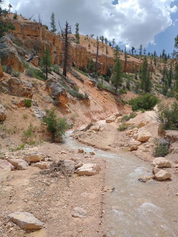 Tropic Ditch image. Click for full size.