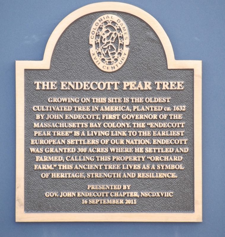 The Endecott Pear Tree Marker image. Click for full size.