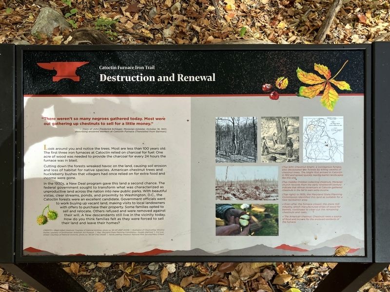 Destruction and Renewal Marker image. Click for full size.
