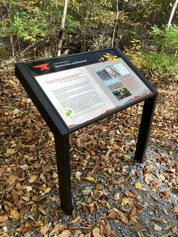 Destruction and Renewal Marker image. Click for full size.