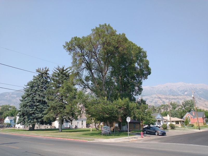 Pioneer Park image. Click for full size.