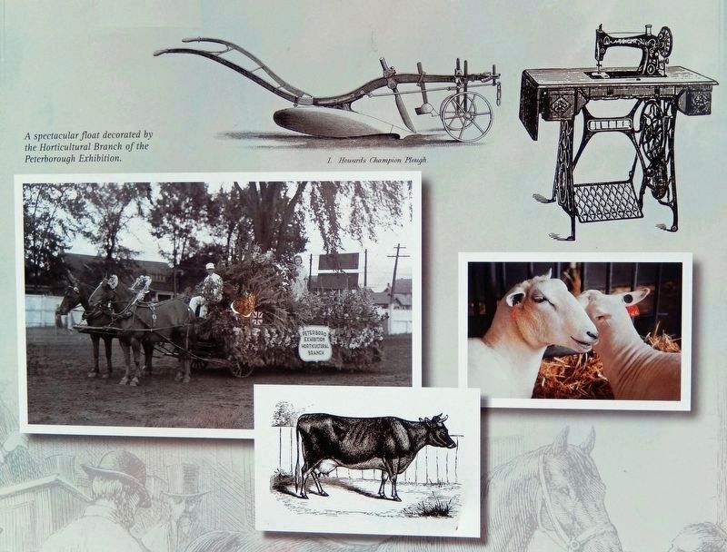 Marker detail: Agricultural Fair Exhibits image. Click for full size.