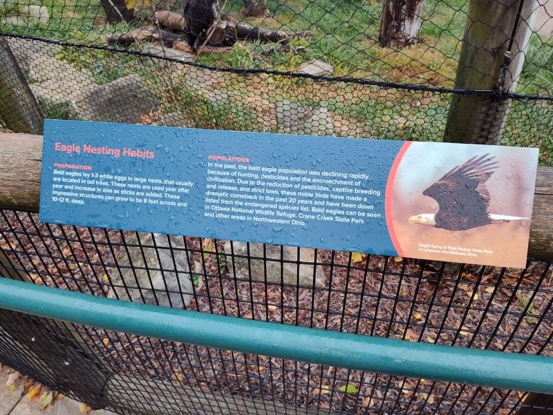 Eagle Nesting Habits Marker. Click for full size. Eagle Nesting Habits Marker image. Click for full size.