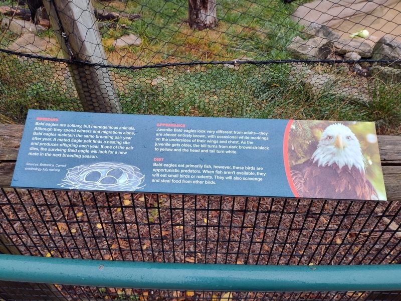 Eagle Nesting Habits Marker. Click for full size. Eagle Nesting Habits Marker image. Click for full size.