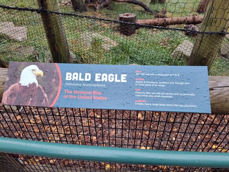 Eagle Nesting Habits Marker. Click for full size. Eagle Nesting Habits Marker image. Click for full size.