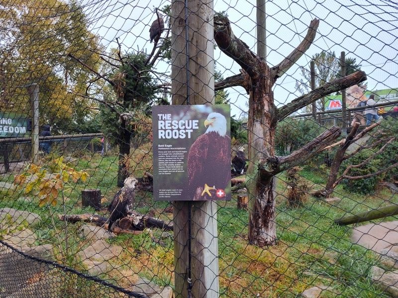 Eagle Nesting Habits Marker. Click for full size. Eagle Nesting Habits Marker image. Click for full size.