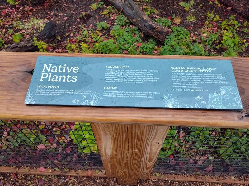 Native Plants Marker. Click for full size. Native Plants Marker image. Click for full size.