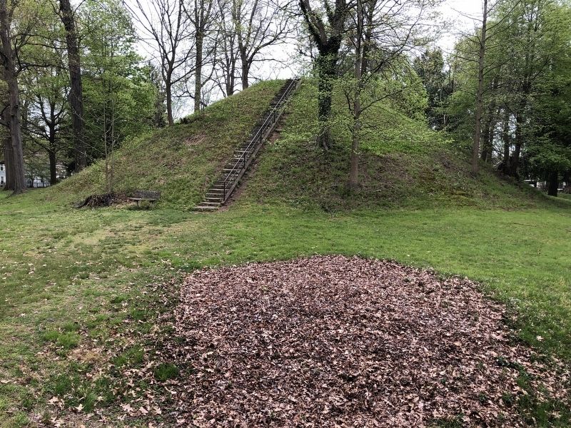 Native American Mound image. Click for full size.