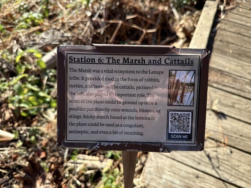 The Marsh and Cattails Marker image. Click for full size.
