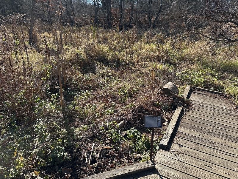 The Marsh and Cattails Marker - wide view image. Click for full size.
