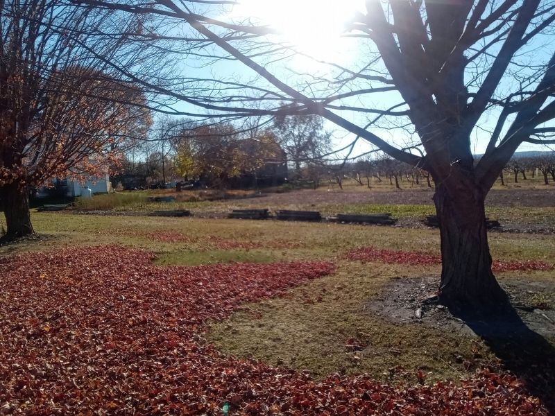 View of the Peach Orchard site looking west towards Seneca Lake. image. Click for full size.