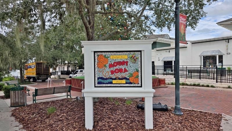Mount Dora Sign and Christmas Tree image. Click for full size.