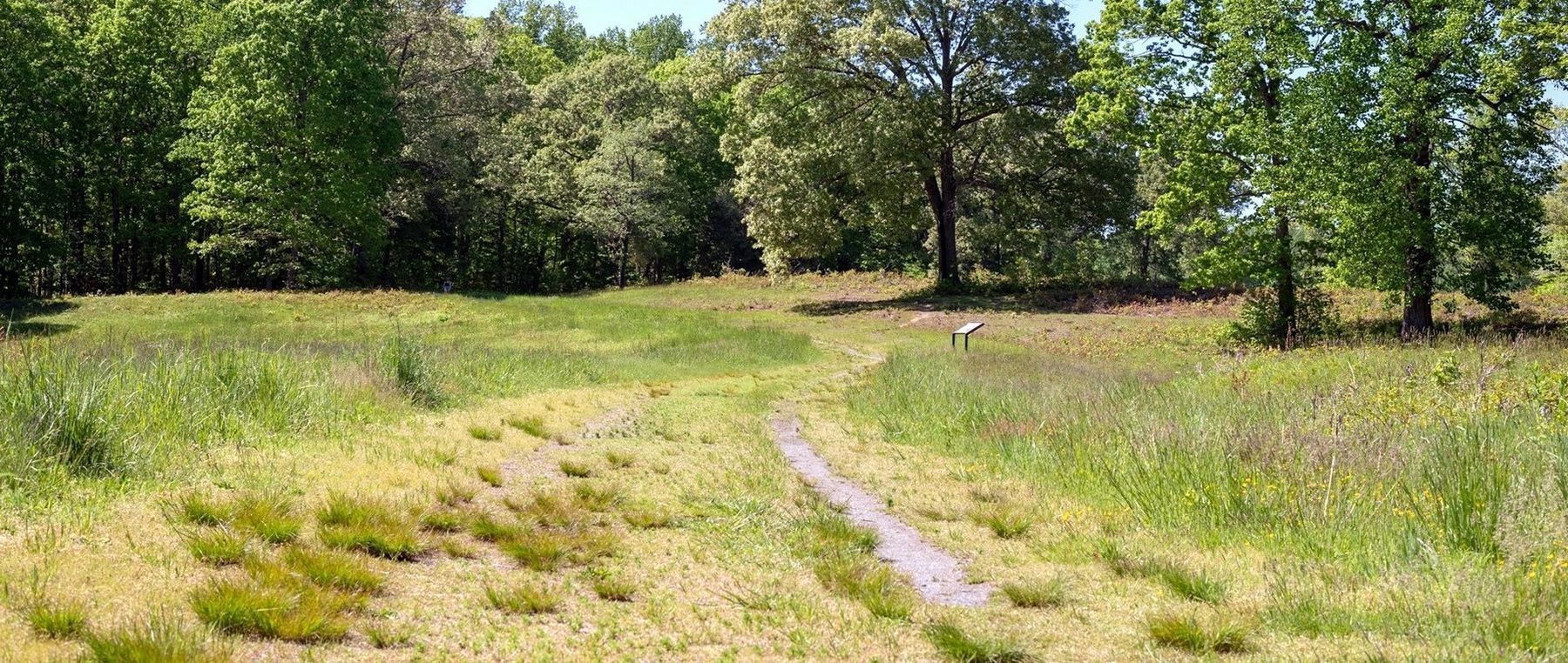 East Face of Salient image. Click for more information.