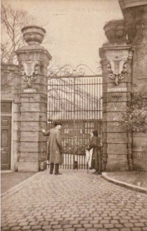 Entrance Gate - exterior side image. Click for full size.