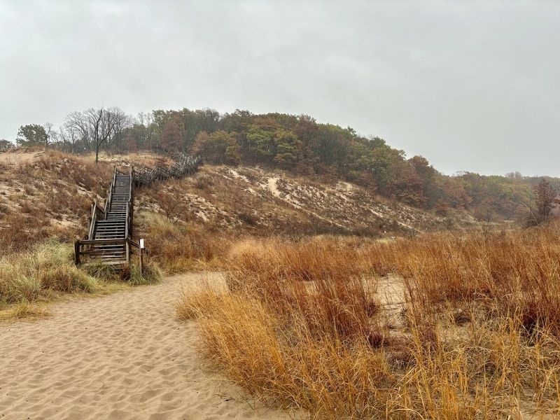 Dianas Dune. Click for full size. Dianas Dune image. Click for full size.